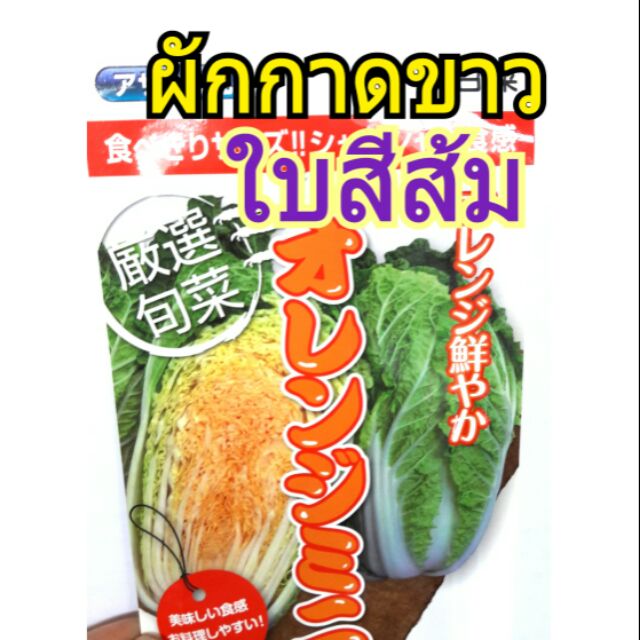 แบ่งขาย-ผักกาดขาวใบส้ม-5เมล็ด