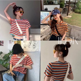 1LDK 🌈พร้อมส่ง🌈 เสื้อครอปแขนสั้นลายทาง โชว์เอวเซ็กซี่ (252)