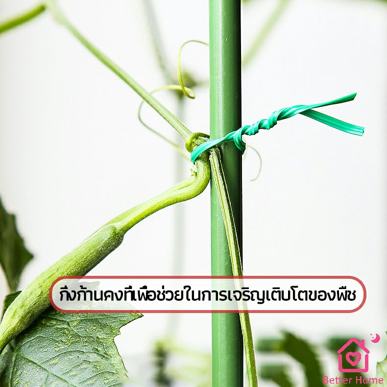 ลวดรัดต้นไม้-ลวดดัดกิ่ง-เนคไททำสวน-ลวดมัดสายไฟ-ลวดอเนกประสงค์-gardening-tie