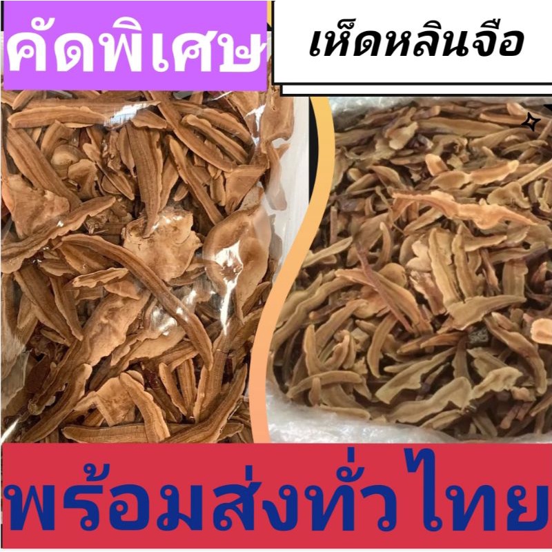 เห็ดหลิงจือ-สรรพคุณเพื่อสุขภาพที่ดี-พร้อมส่งทั่วไทยจ้าา