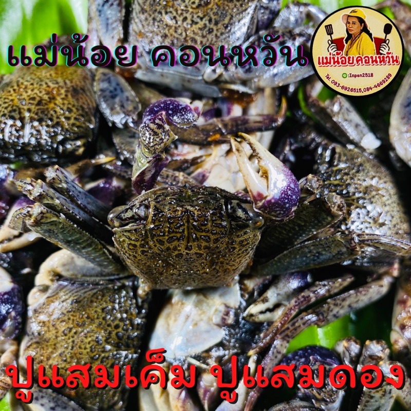 ปูแสมเค็ม ปูแสมกอง แม่น้อยคอนหวัน size M บรรจุ 500 กรัม ปูหลนหมูสับ ปู ...