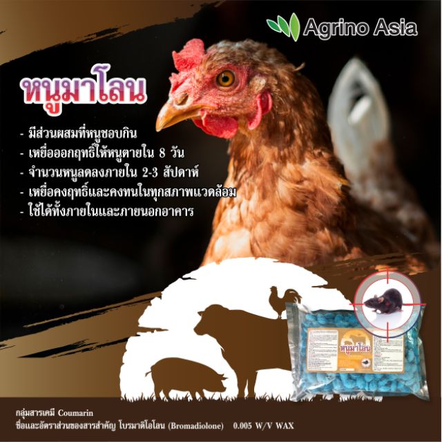 thai-english-chat-info-เหยื่อกำจัดหนู-หนูมาโลน-ขนาด-1-กิโลกรัม-bromadiolone-rodenticide