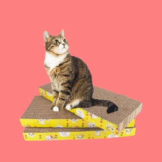 ที่ฝนเล็บแมว 1 ชิ้น 1 piece ลับเล็บ ของเล่น กระดาษ cat scratching cardboard