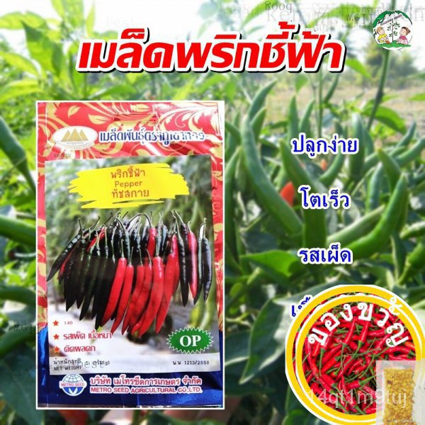 เมล็ดพริกชี้ฟ้า-ทัชสกาย-pepper-เมล็ดพันธุ์พริกชี้ฟ้า-พริกชี้ฟ้า-เมล็ดผักสวนครัว-เมล็ดพันธุ์ผัก-ตราภูเขาทองed-tqxg