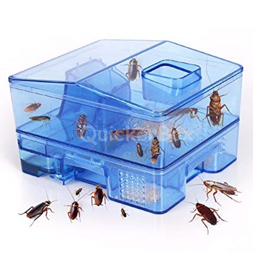 Cockroach trapper บ้านดักแมลงสาบ และจิ้งจก พร้อมเหยื่อล้อ | Shopee Thailand