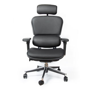 DF Prochair | เก้าอี้เพื่อสุขภาพ รุ่น Ergo2 Leather