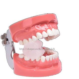1 pc split type mouth support elastic autoclavable