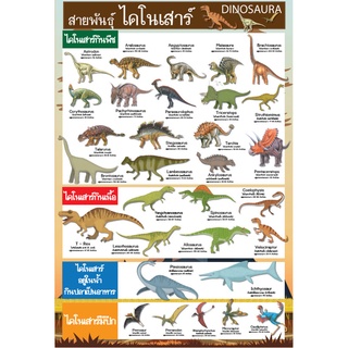 ภาพหน้าปกสินค้าโปสเตอร์ พันธุ์ไดโนเสาร์ ที่เกี่ยวข้อง