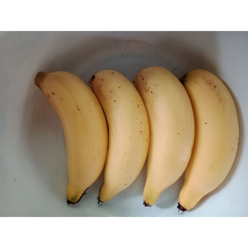 หน่อกล้วยเล็บมือนางกาบแดง-แท้-2-หน่อ-พร้อมปลูก
