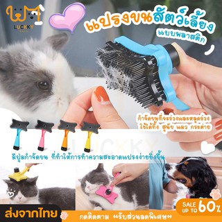 ภาพหน้าปกสินค้า[พร้อมส่ง] ที่แปรงขนกำจัดขนสุนัข หวีสุนัข หวีแปรงขนสัตว์เลี้ยง ที่แปรงขนสุนัข แมว มีปุ่มกดเพื่อดันขนออก ที่เกี่ยวข้อง