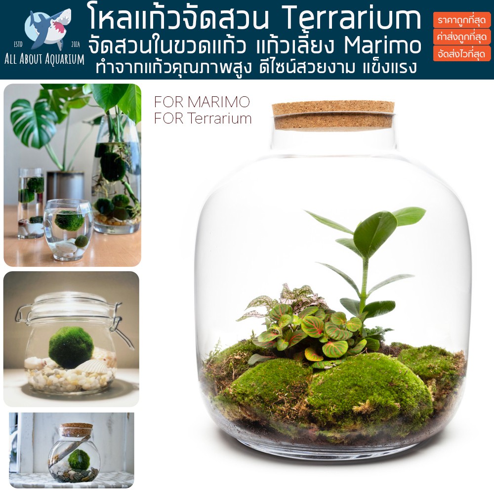 ขวดโหล-ผลิตจากแก้วชั้นดี-ใสพิเศษ-คุณภาพสูง-จัดสวนขวดแก้ว-ขวด-marimo-terrarium-สวนในขวดแก้ว-จัดสวนขวด-สวนถาด-เทอทาเรียม