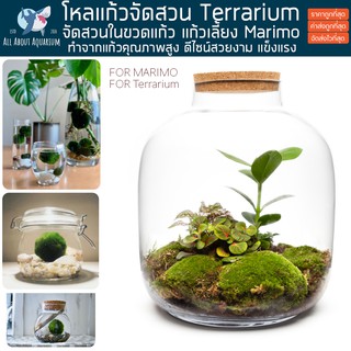 ขวดโหล ผลิตจากแก้วชั้นดี ใสพิเศษ คุณภาพสูง จัดสวนขวดแก้ว ขวด marimo Terrarium สวนในขวดแก้ว จัดสวนขวด สวนถาด เทอทาเรียม