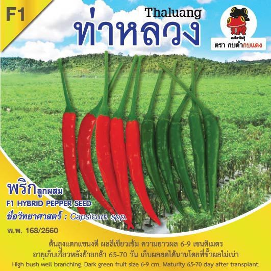 aga-shop-เมล็ดพันธุ์พริกท่าหลวง