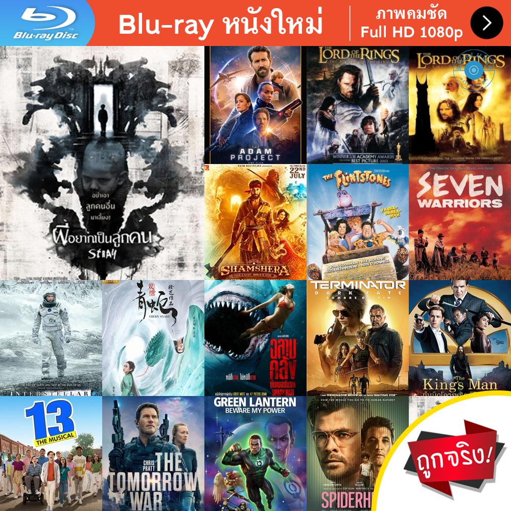 หนัง-bluray-stray-2019-ผีอยากเป็นลูกคน-หนังบลูเรย์-แผ่น-ขายดี