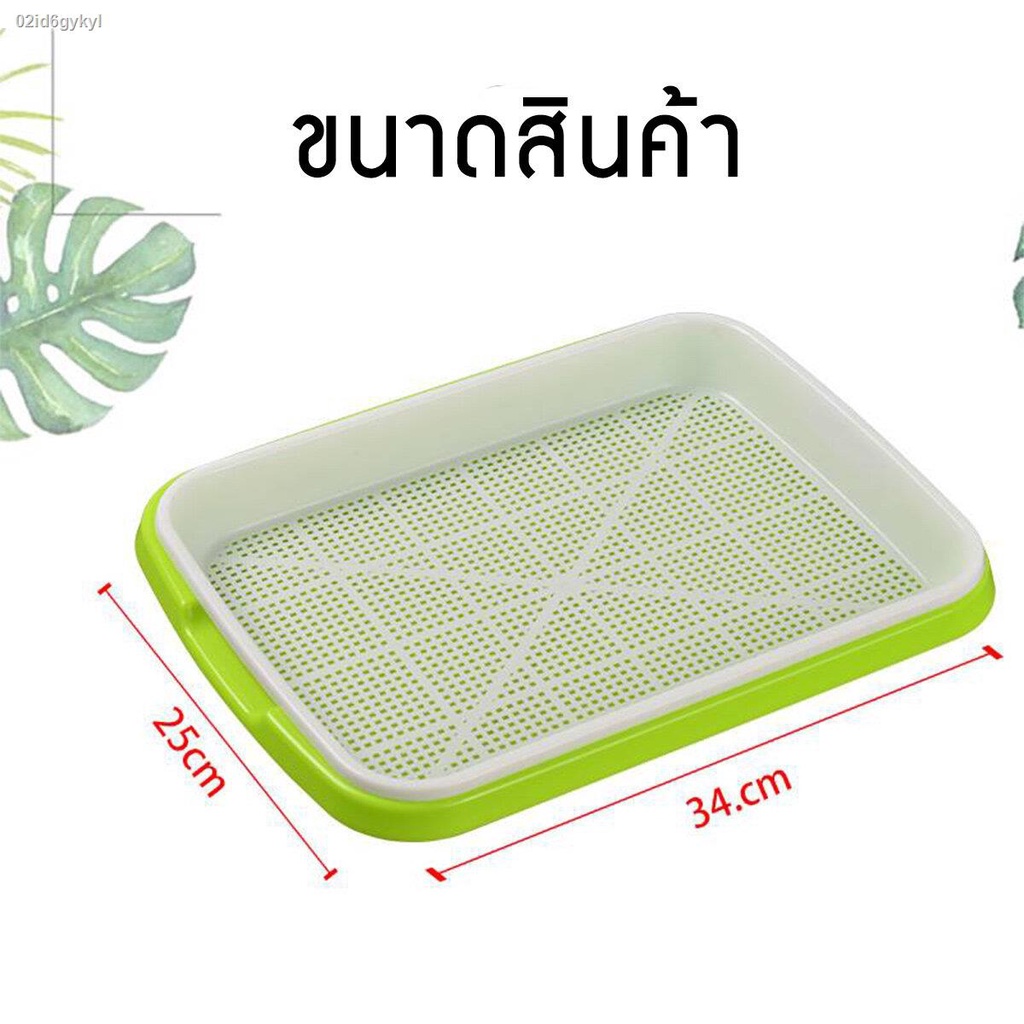 ถาดเพาะเมล็ด-ถาดเพาะต้นอ่อน-ถาดเพาะผักไมโครกรีน-ถาดเพาะเมล็ดไร้ดิน