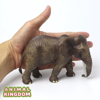 Animal Kingdom - โมเดลสัตว์ ช้างแอฟริกา ขนาด 13.50 CM (จากหาดใหญ๋)