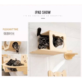 4PETS กล่องแมวติดผนัง DIY ขายแยกชิ้น (สะพานเชือก - เสาเชือก - แท่นกระโดด - บันได - บ้านแมว)