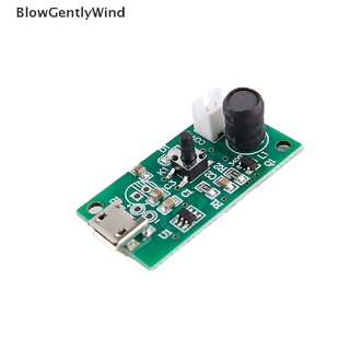 Blowgentlywind เครื่องพ่นไอน้ําอิเล็กทรอนิกส์ อัลตร้าไฟน์มิสต์ เครื่องทําความชื้น บอร์ดไดรเวอร์วงจร