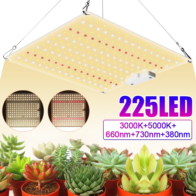 โคมไฟสเปกตรัม-led-1000w-ac100-277v-ปลั๊ก-eu-us-สําหรับปลูกพืชในร่ม