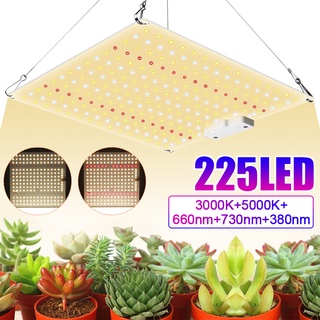 โคมไฟสเปกตรัม LED 1000W AC100-277V ปลั๊ก EU US สําหรับปลูกพืชในร่ม