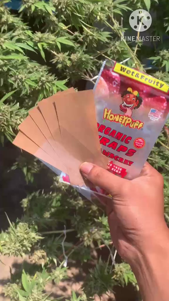 แถมฟรีฟิวเตอร์honeypuff-usa-blunt-wraps-rolling-papers-กระดาษ-blunt-กลิ่นผลไม้-มี7กลิ่นขนาด110กระดาษโรล