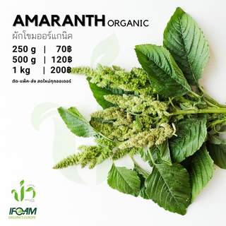 ภาพหน้าปกสินค้าผักโขมออร์แกนิค Organic Amaranth มาตรฐานผักออร์แกนิค IFOAM ผักสลัด ผักสด เก็บ-แพ็ค-ส่ง เก็บใหม่ทุกออเดอร์ ที่เกี่ยวข้อง