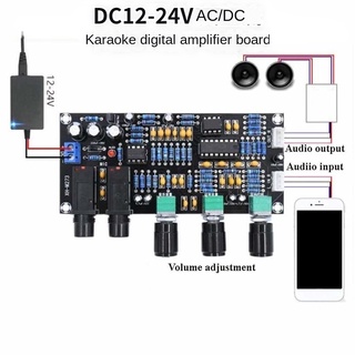 Xh-m273 บอร์ดขยายเสียงร้องเพลง คาราโอเกะ ไมโครโฟน ดิจิทัล XH-M273 PT2399