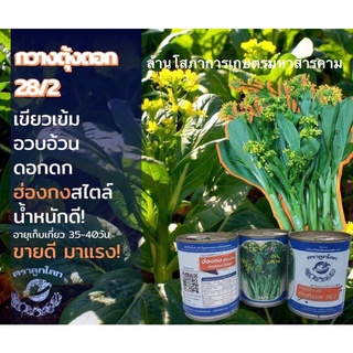 กวางตุ้งดอก 28/2  ตราลูกโลก ขายส่ง38฿ ฮ่องกงสไตล์ รสชาติดี เมล็กผักสวนครัว กวางตุ้งดอกฮ่องกง