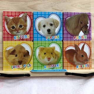 หนังสือนิทานภาษาอังกฤษ Board Book - Kittens Puppies Ponies Guinea Pigs Hamsters Rabbits
