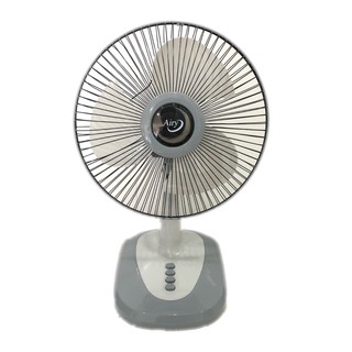 ภาพหน้าปกสินค้าพัดลมตั้งโต๊ะ 12 นิ้ว Airy /Desk Fan (สีเทา) ส่งฟรี ซึ่งคุณอาจชอบราคาและรีวิวของสินค้านี้