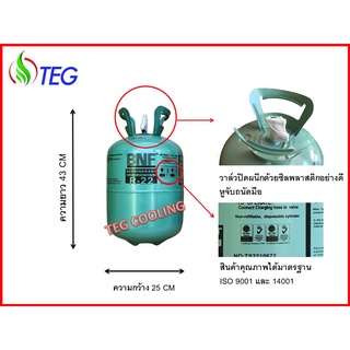 ภาพขนาดย่อของภาพหน้าปกสินค้าน้ำยาแอร์ R22 ยี่ห้อ BNF ขนาดบรรจุ 13.6 kg สามารถเก็บเงินปลายทางได้, สามารถออกใบกำกับภาษีได้ R22 Refrigerant 13.6kg จากร้าน teg_official_store บน Shopee