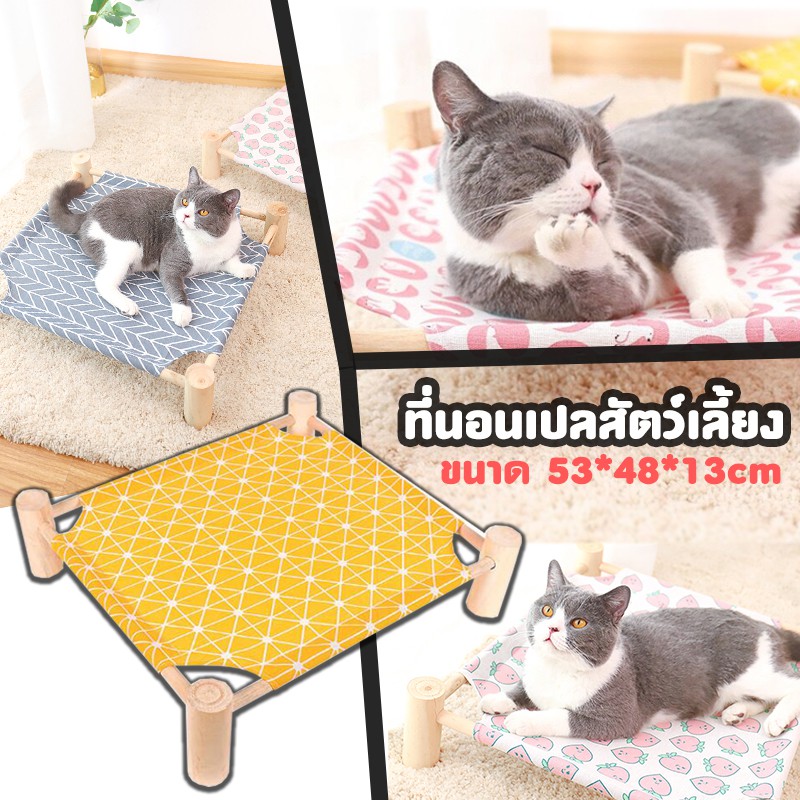 โปร-ที่นอนน่ารัก-ที่นอนแปลสัตว์เลี้ยง-สินค้าพร้อมส่ง