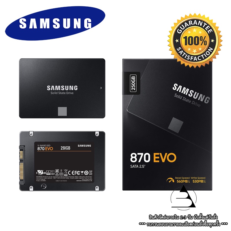 Samsung Electronics 870 EVO 250GB 2.5 Inch SATA III Internal SSD