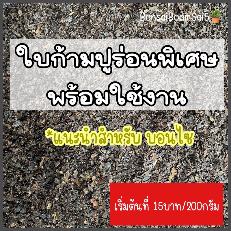 ดินใบก้ามปูร่อนพิเศษพร้อมใช้งาน-เหมาะกับงานบอนไซ