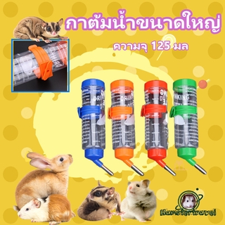 250 ml อุปกรณ์สัตว์เลี้ยงขนาดเล็กหนูแฮมสเตอร์กาต้มน้ำทองหมีหนูตะเภาหมูดื่มขวดน้ำSH