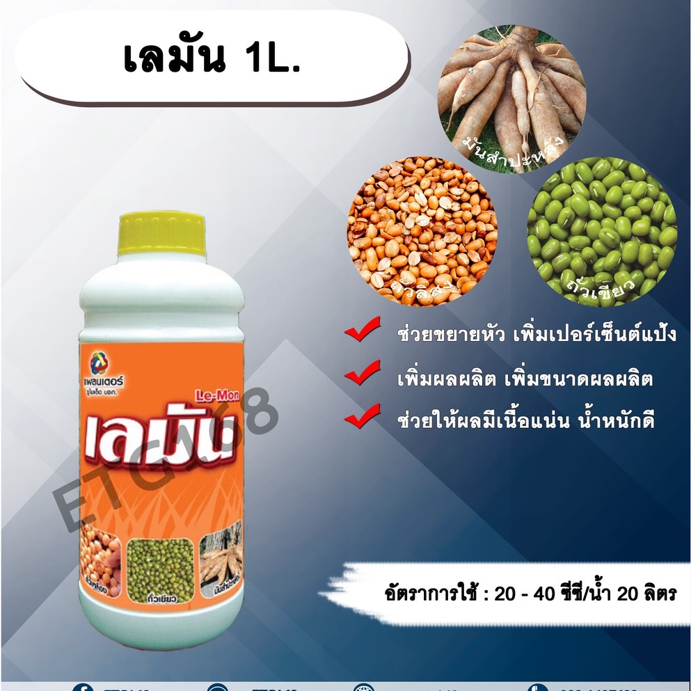 เลมัน-1l-ขยายหัวมัน-มันหัวโต-เพิ่มเปอร์เซ็นต์แป้ง-เพิ่มผลผลิต-เพิ่มขนาดผลผลิตช่วยให้ผลมีเนื้อแน่น-น้ำหนักดี-ฮอร์โมนพืช