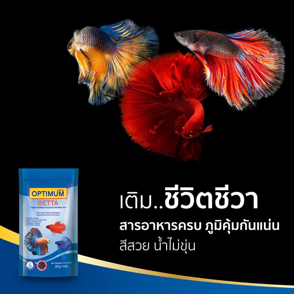 ภาพสินค้าOPTIMUM BETTA 20 g. (อาหารปลากัด สูตรเร่งสี เร่งโต ป้องกันโรค ใช้แล้วน้ำไม่ขุ่น) จากร้าน smilepetshop บน Shopee ภาพที่ 2