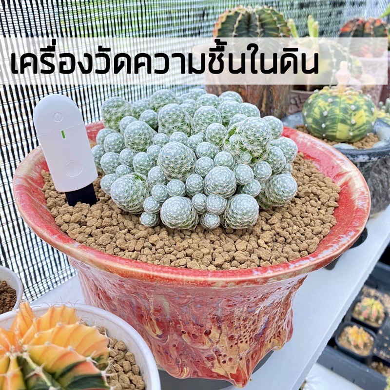 ร้านไทย-เครื่องวัดความชื้นในดิน-ที่วัดความชื้นดิน