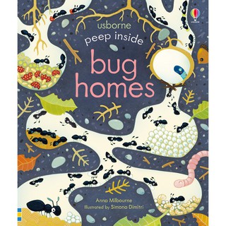 หนังสือความรู้ทั่วไปภาษาอังกฤษ Peep inside Bug Homes (Peep inside) -- Board book