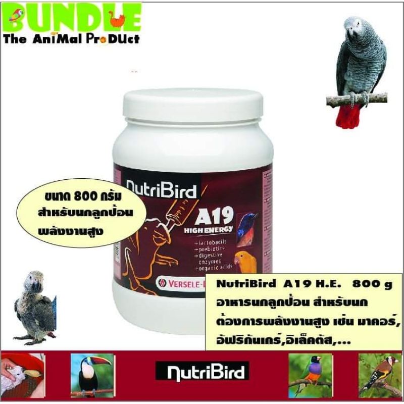 NutriBird H.E. (High Energy) A19 (ฝาขาว) 800 กรัม. | Shopee Thailand