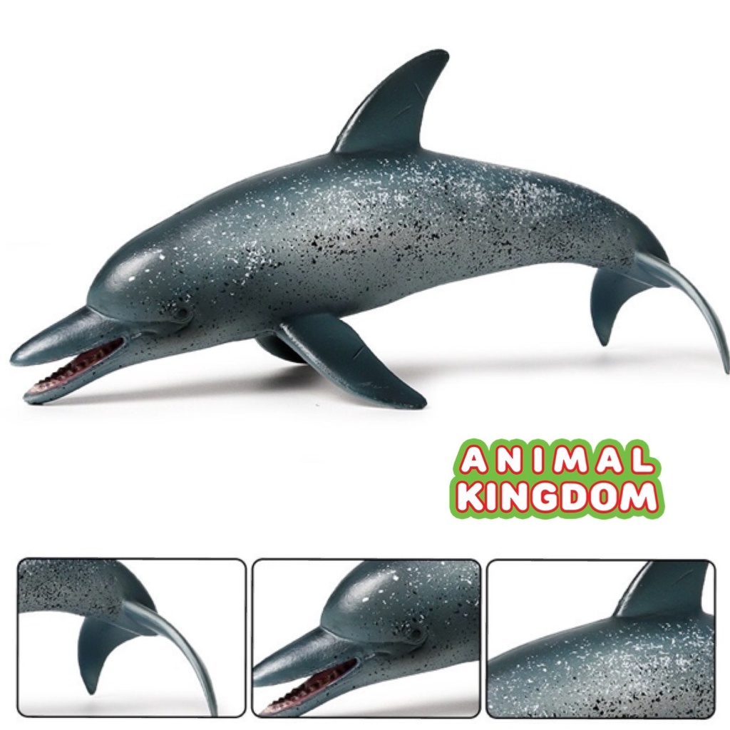 animal-kingdom-โมเดลสัตว์-ปลาโลมา-ฟ้าจุด-ขนาด-20-00-cm-จากสงขลา