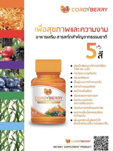 ถั่งเช่า-cordy-berry-1-กระปุก-แถมฟรี-2-แผง