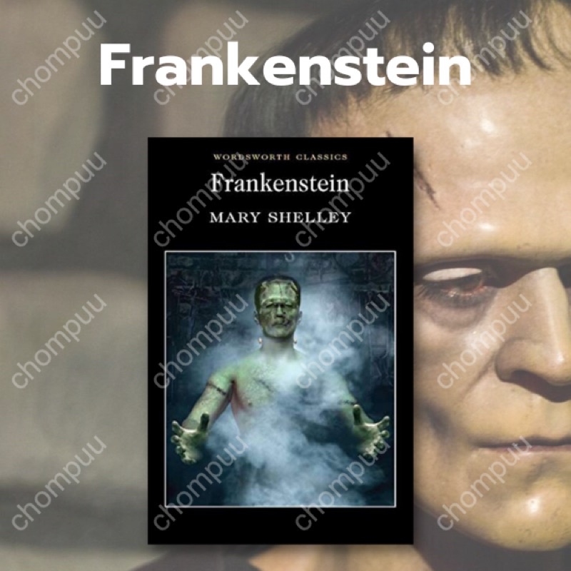 หนังสือนิยายภาษาอังกฤษ-frankenstein-แฟรงเกนสไตน์-fiction-english-book