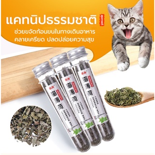 กัญชาแมว แคทนิป 😻แคทนิป Catnip สมุนไพรออร์แกนิคสำหรับแมวแบบหลอด 45ml