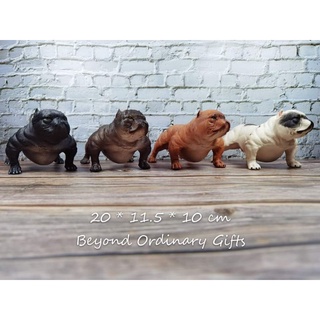 โมเดลอะเมริกันบูลลี่ (American Bully)​ มี 4 สี พร้อมส่ง