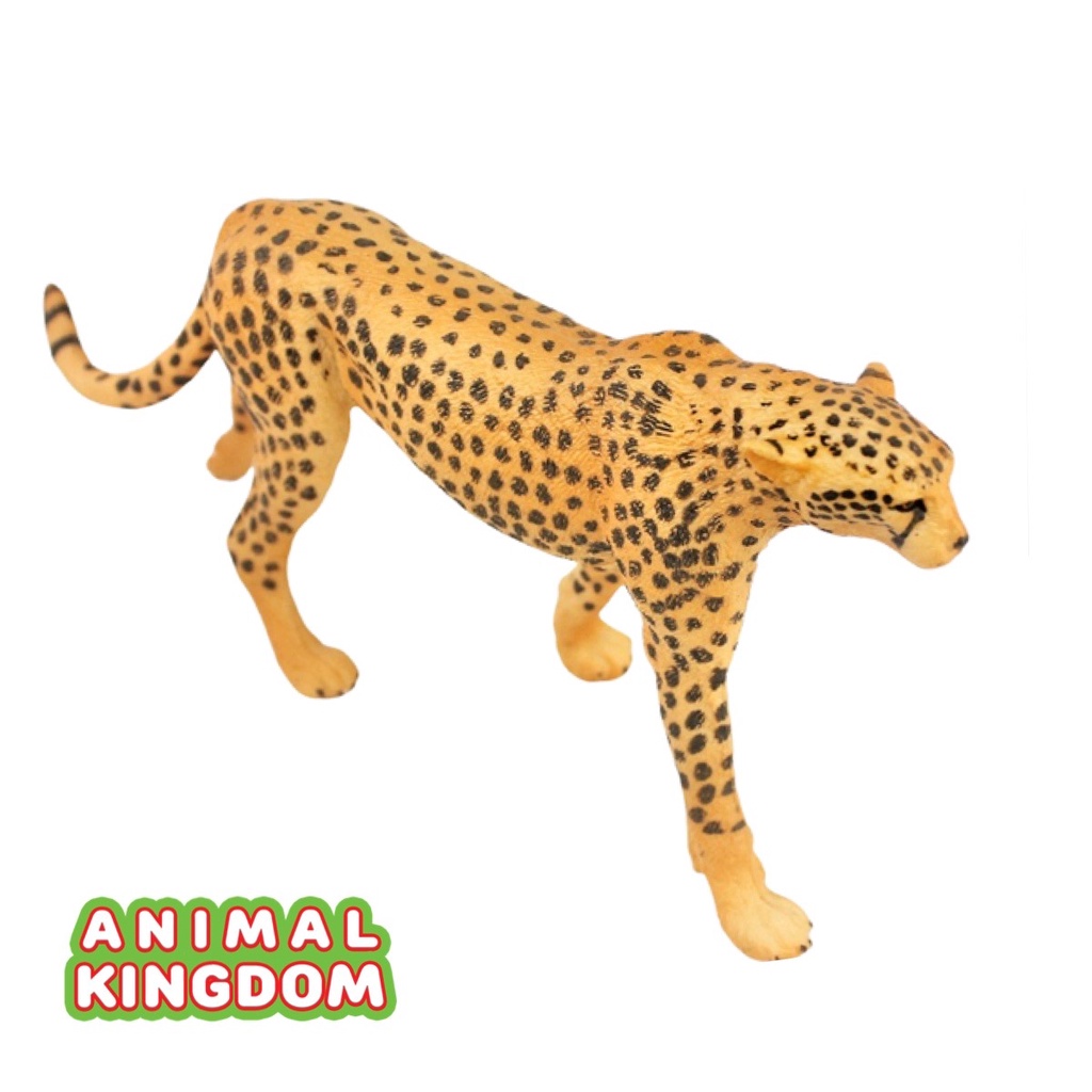 animal-kingdom-โมเดลสัตว์-เสือดาว-เสือชีตาห์-ขนาด-19-00-cm-จากสงขลา