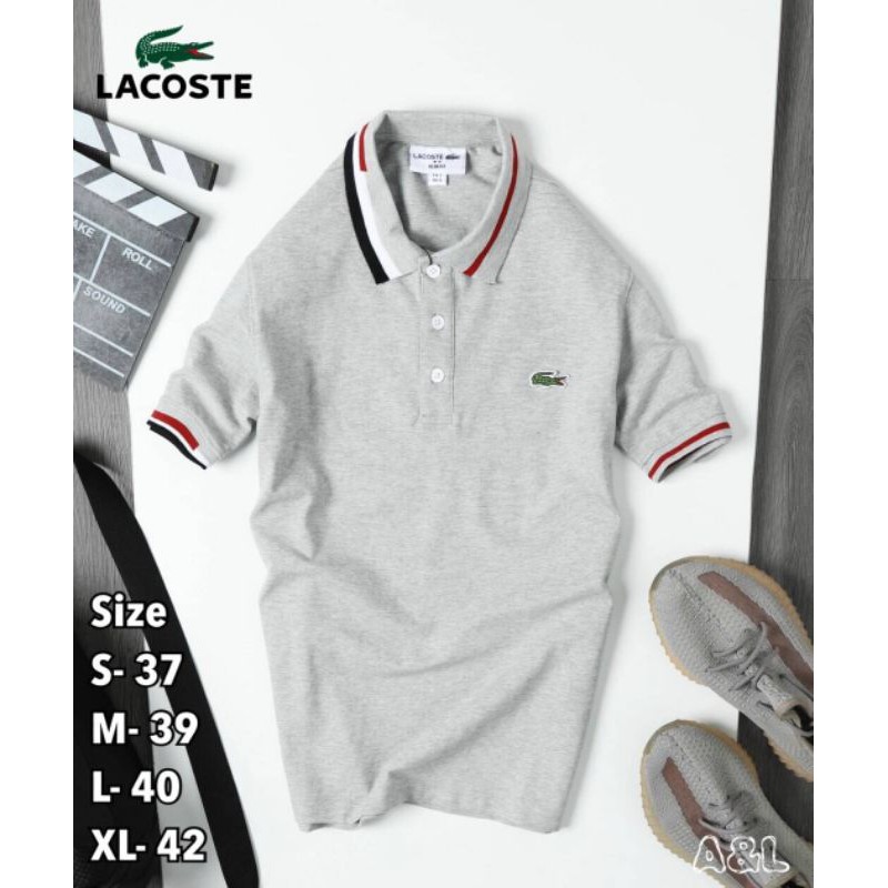เสื้อโปโลคอปก-lacoste