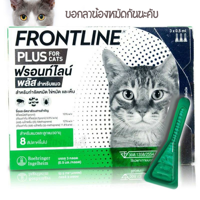 ภาพหน้าปกสินค้าFrontline plus cat กำจัดเห็บหมัด สำหรับแมว(หมดอายุ 2024)