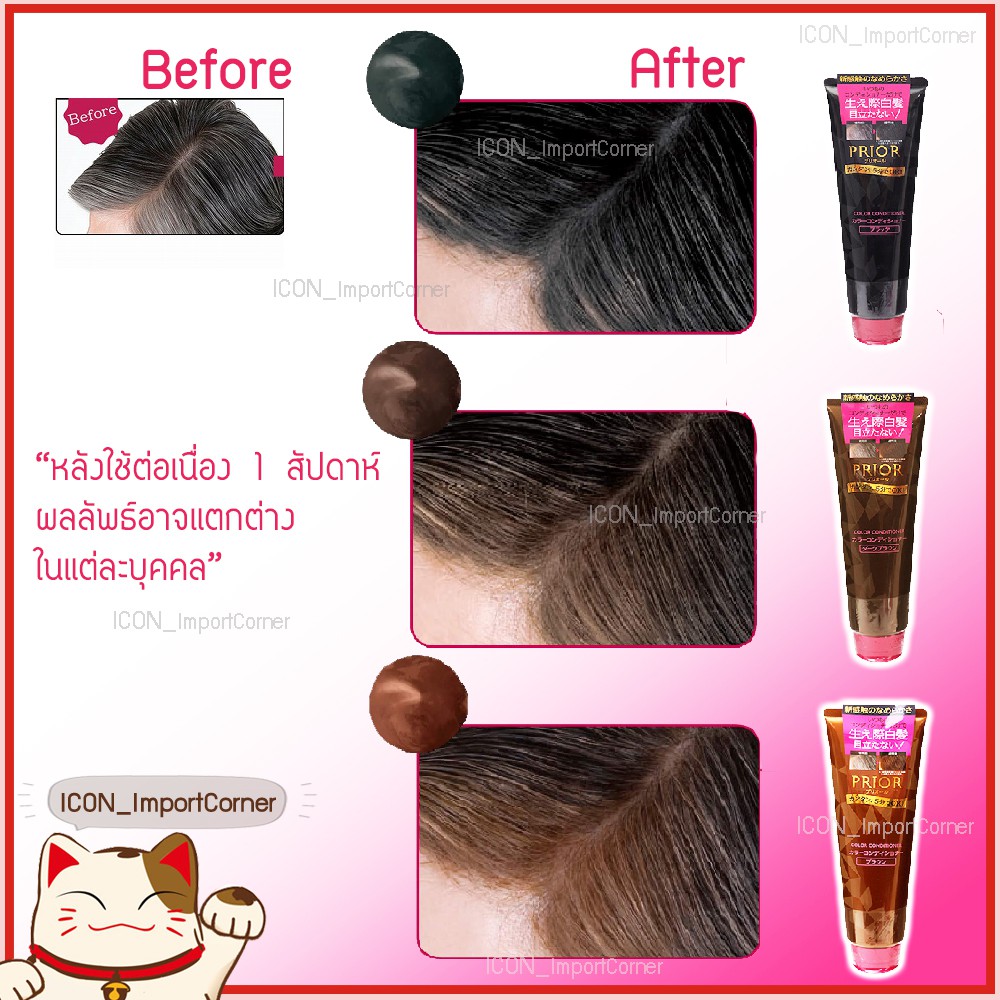 Shiseido Prior Shampoo & Conditioner ชิเซโด้ แชมพูรักษาสีผม และครีมนวด ...