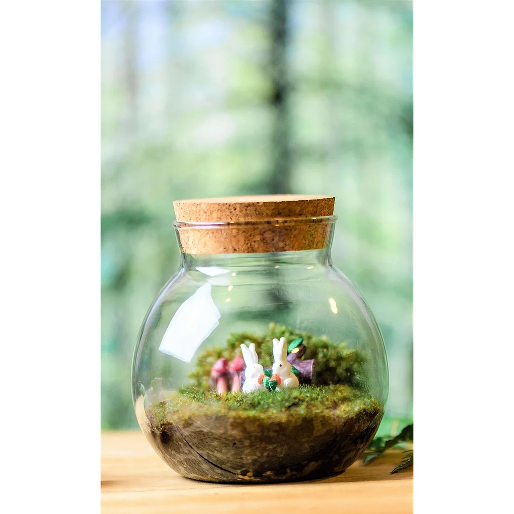 ขวดโหล-ผลิตจากแก้วชั้นดี-ใสพิเศษ-คุณภาพสูง-จัดสวนขวดแก้ว-ขวด-marimo-terrarium-สวนในขวดแก้ว-จัดสวนขวด-สวนถาด-เทอทาเรียม